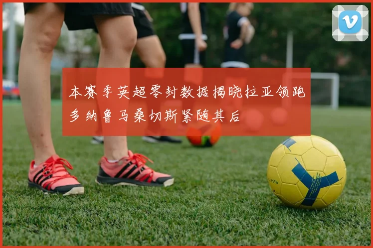 本赛季英超零封数据揭晓拉亚领跑多纳鲁马桑切斯紧随其后